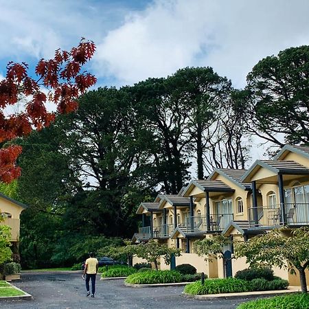 Falls Mountain Retreat Blue Mountains Wentworth Falls Esterno foto