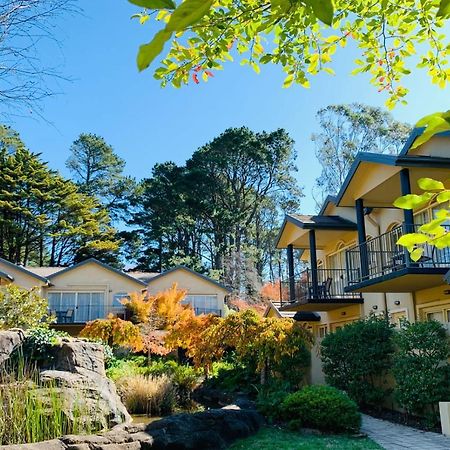 Falls Mountain Retreat Blue Mountains Wentworth Falls Esterno foto