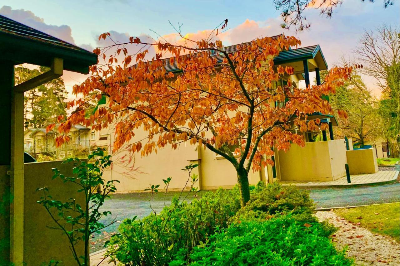 Falls Mountain Retreat Blue Mountains Wentworth Falls Esterno foto